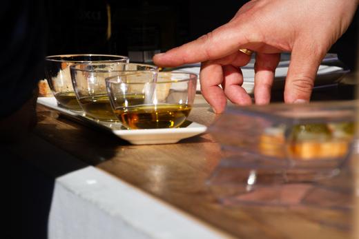 Picual Olive Oil Guide