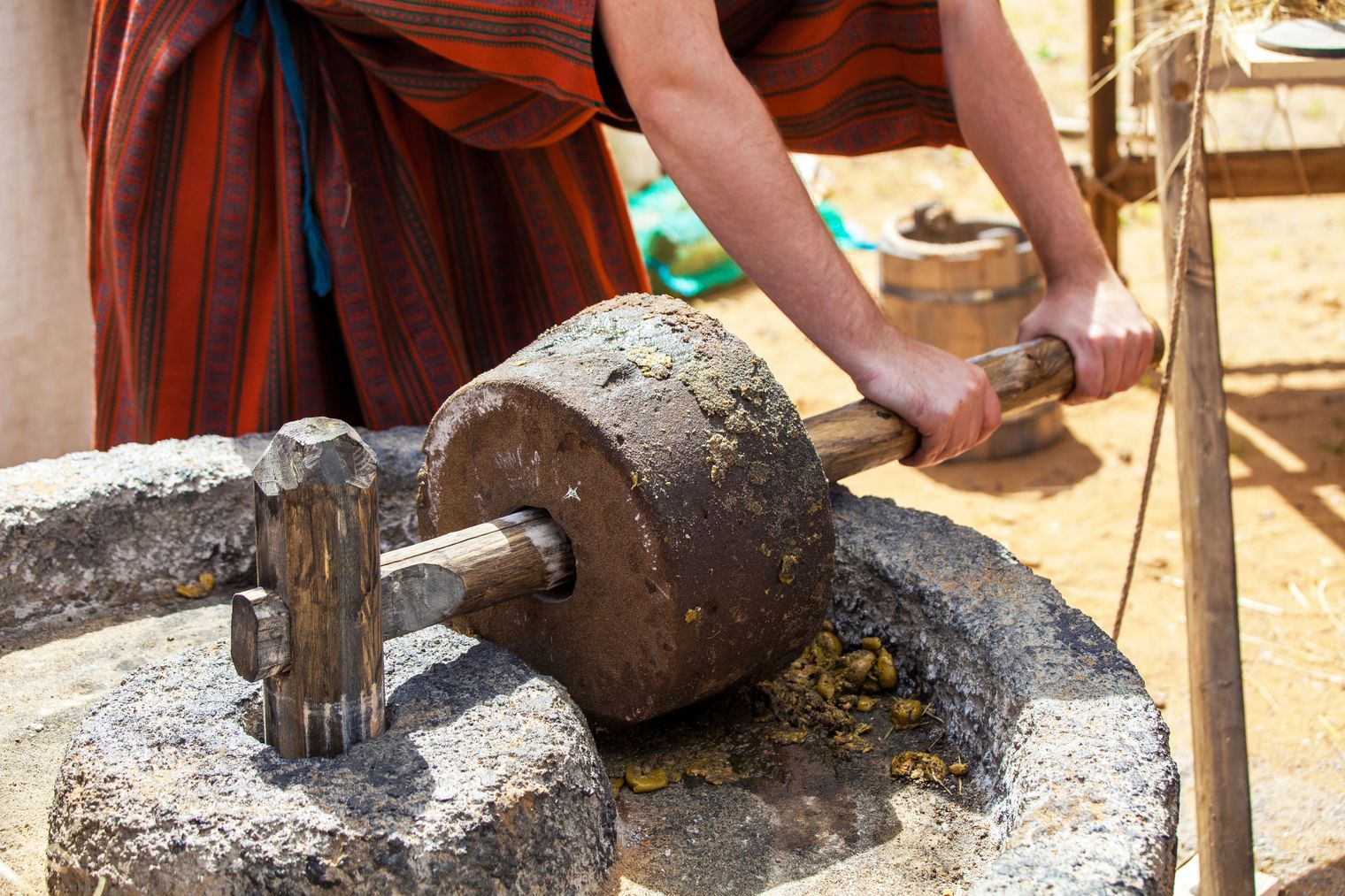 What Is The History Of Olive Oil What Is The History Of Olive Oil
