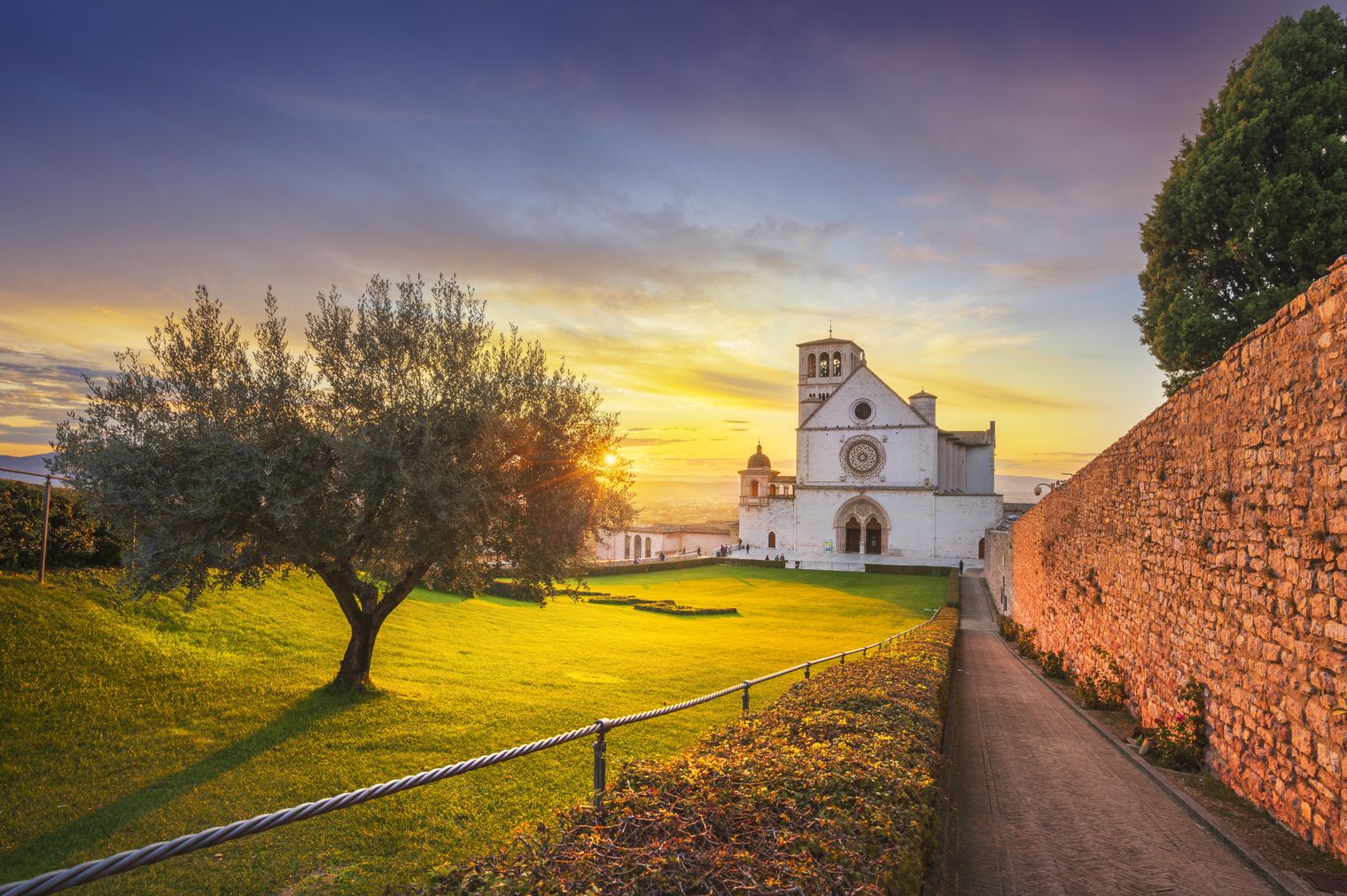 Everything You Need to Know About Italian Olive Oil