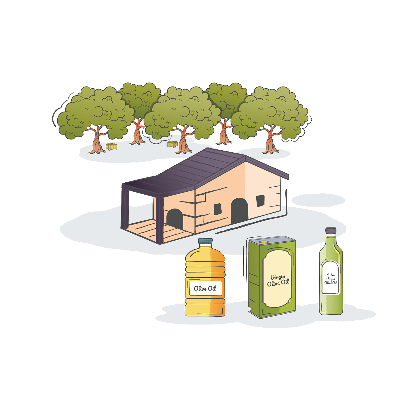 What s The Difference Between Extra Virgin Regular Olive Oil 