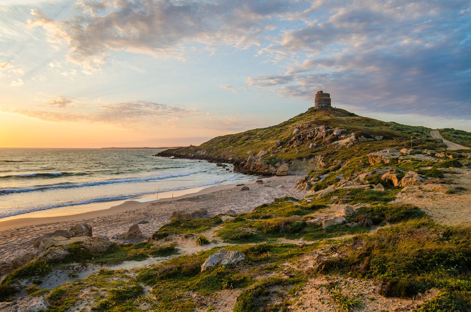 Blue Zone Sardinia: Health, Longevity & Olive Oil