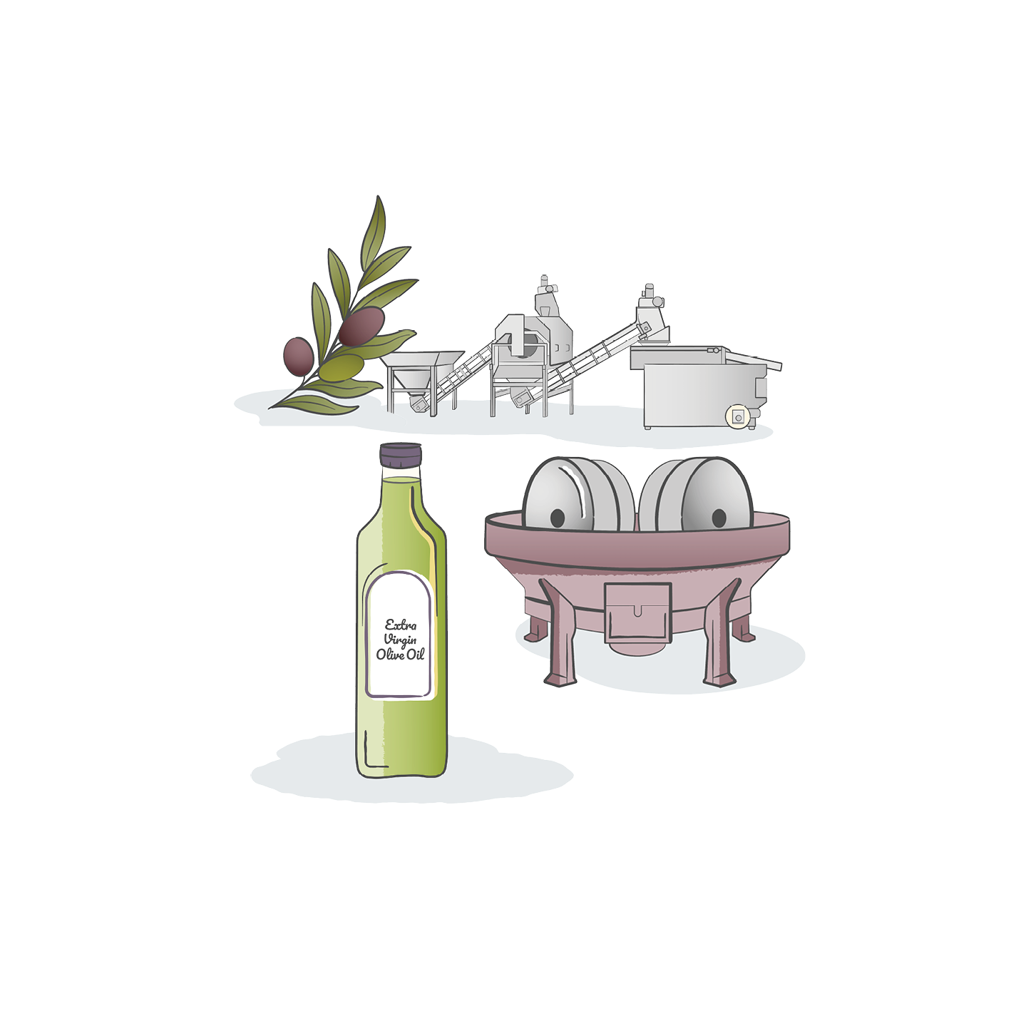 How Olive Oil is Made