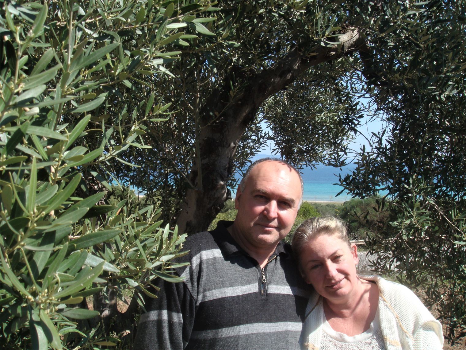 Yanni's Olive Grove: Love of Science, the Land, the Future—and Olive Oil