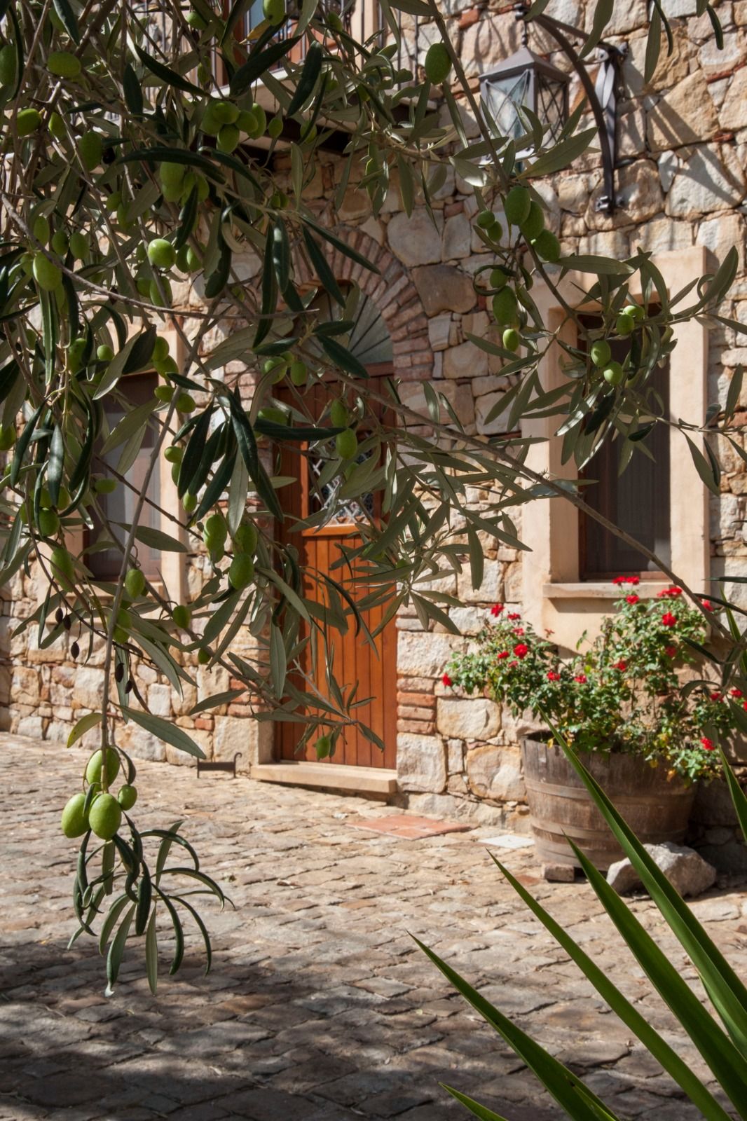 The Sicilian Olive Oil Farm Stay Experience