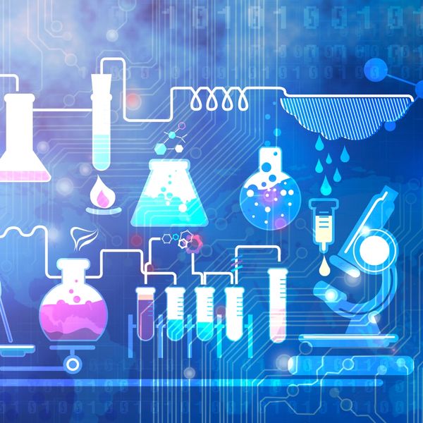 Does olive oil contain Polyphenols? Yes, it does indeed.